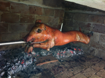 Tako Žele speče prase